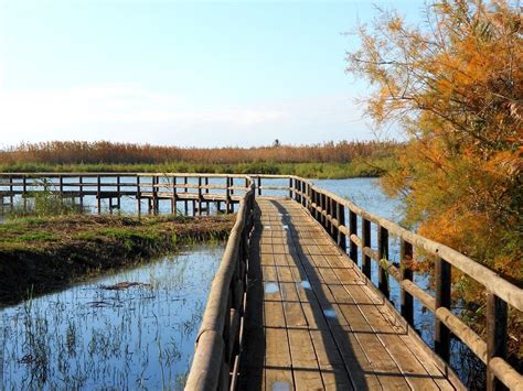 que ver en crevillente|Crevillente Costa Blanca Spain: The Essential Tourist。